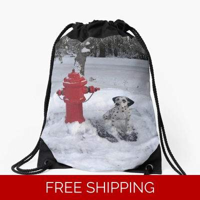 Le Studio Drawstring Bag Rush Signals Statue Winter 2019